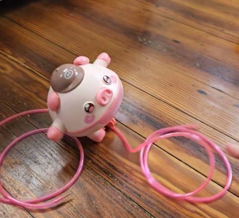Fun on the Line: Tightrope Walking Piggy for Little Ones
