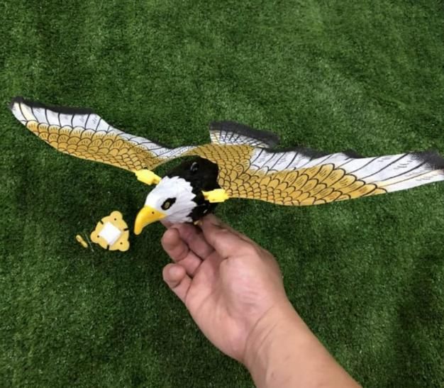 Real Flight Fun: Realistic Flying Eagle Bird Toy